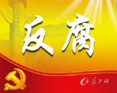 晒反腐成绩单 罗田5年处分730人 