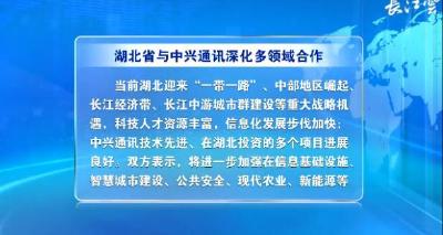 V视 | 湖北省与中兴通讯深化多领域合作