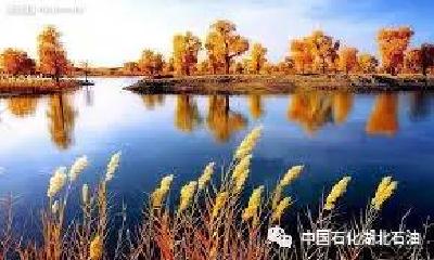 【旅游】乌兰布和—一个沙漠中的遗珠