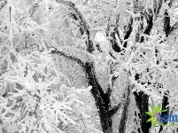 等你，在飘雪的天台山！