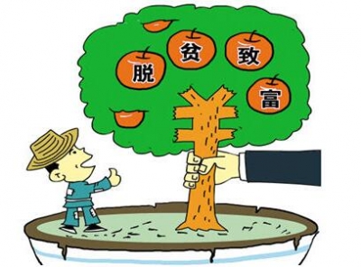 团风县杜皮乡：打通山区“末梢路” 叩开群众致富门