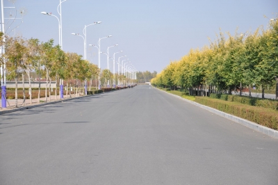 蕲春：聚力难事急事  解决群众出行难