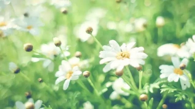 这篇文章，感动得无数人热泪盈眶
