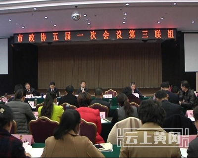 刘美频参加市政协五届一次会议第三联组讨论     