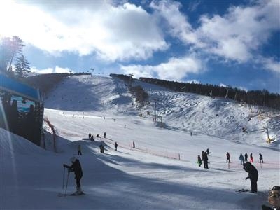 调查:滑雪伤亡者超9成是