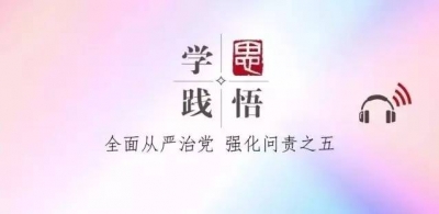 【学思践悟】（十一）：动员千遍不如问责一次 ——全面从严治党 强化问责之五