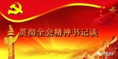 【贯彻全会精神书记谈】敢于担当 切实履责 继续当好全面从严治党的示范与标杆