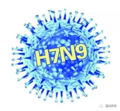 河南发现1例H7N9病毒确诊病例经抢救无效死亡