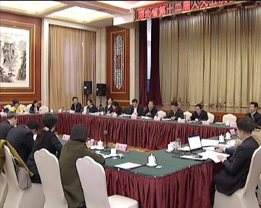 杨松、刘友凡、赵斌参加黄冈代表团审议政府工作报告