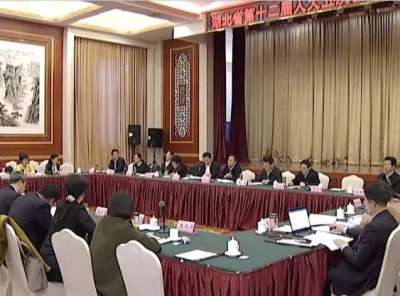 杨松、刘友凡、赵斌参加黄冈代表团审议政府工作报告