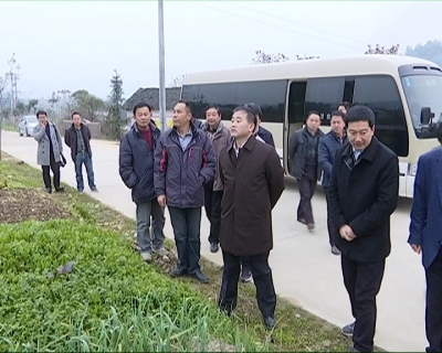 刘美频到蕲春调研督导落实党风廉政建设“两个责任”