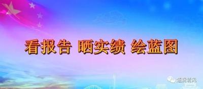 【看报告 晒实绩 绘蓝图】罗田县政府工作报告