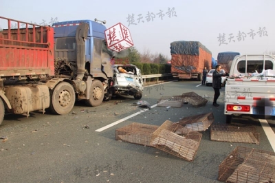 司机开车玩手机出事故 微信转账888元给交警被拒