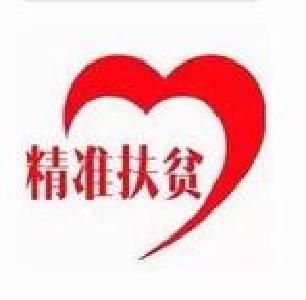 麻城纪委：开展精准扶贫回访和慰问活动