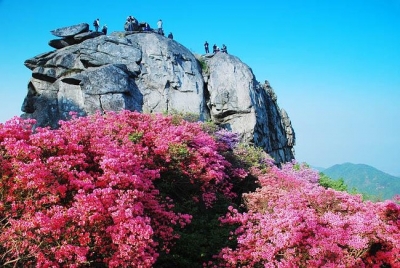英山：春节接待游客17.8万人次
