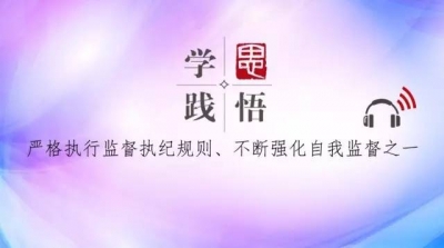 【学思践悟】（十三）：打铁还需自身硬——严格执行监督执纪规则、 不断强化自我监督之一