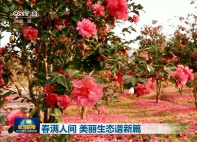 罗田燕儿谷登上CCTV新闻联播！