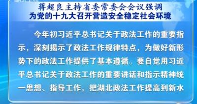 蒋超良强调为党的十九大召开营造安全稳定社会环境