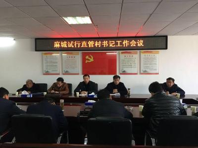 两年一届 动态管理     麻城探索组织部直管村（社区）书记新模式