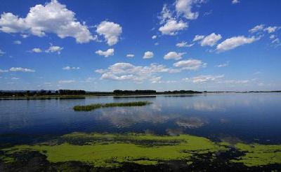 武山湖湿地公园开展“湿地日”宣传