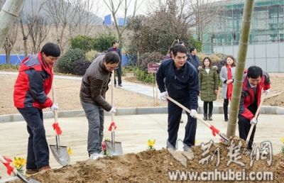 “生态惠民工程”织就秀美英山