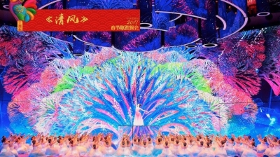 春晚：文化圈的一张年终答卷
