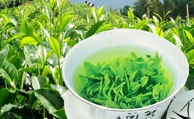 43个湖北特产入选地理标志 麻城天麻英山云雾茶榜上有名
