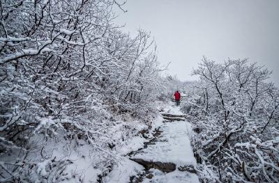 冰挂世界青天河 各种自然景观于一体的冰雪童话