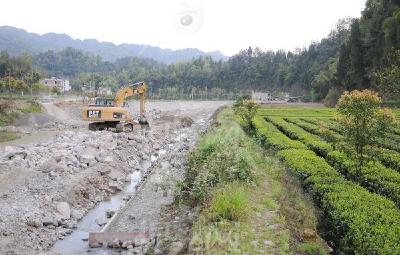 新春走基层：英山 红山镇金盆村 全力推进河堤灾后恢复促春耕