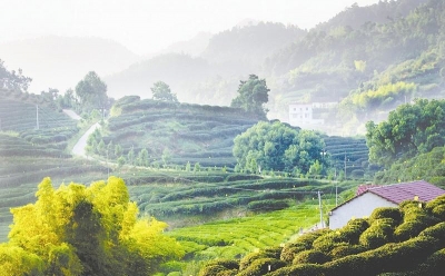 省旅游委到蕲春调研旅游强县