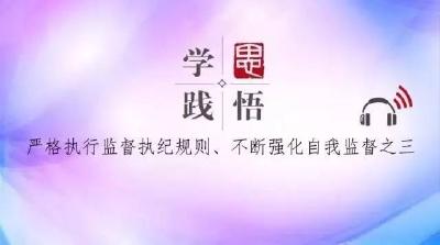 【学思践悟】（十五）：梳理 提炼 归纳 总结——严格执行监督执纪规则、 不断强化自我监督之三