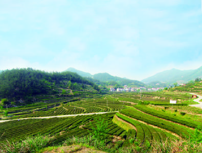 英山：打好扶贫攻坚战 建设美丽新乡村