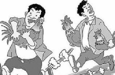 看电视剧入戏太深 两男子偷9只鸡给“狐仙”