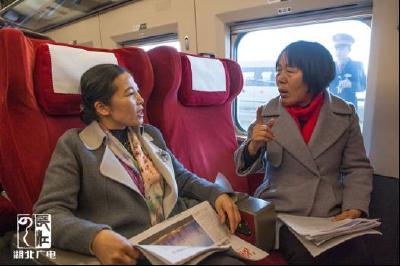 全国两会 黄冈代表王金初带了什么去北京？