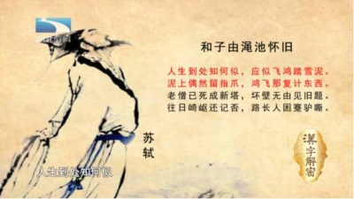 汉字解密｜成语“雪泥鸿爪”和苏轼苏辙兄弟有何关系？