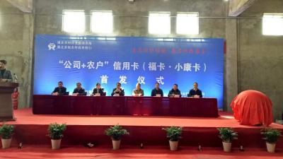 龙感湖：围绕党建抓“双基” 服务“三农”促发展