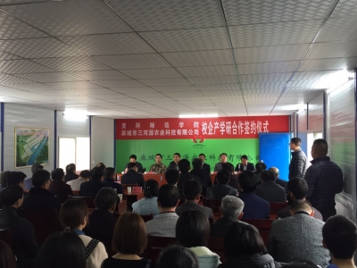 黄冈师范学院到麻城市三河口镇开展精准扶贫工作