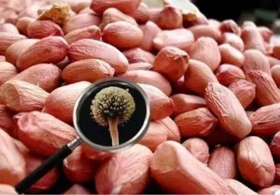 吃到这6种坚果，马上吐掉并漱口！有些毒性是砒霜的68倍！