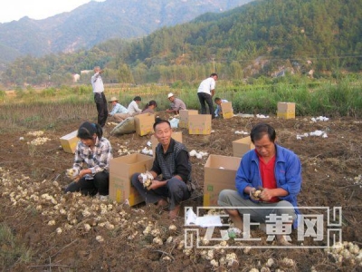 脱贫攻坚，英山大地战犹酣