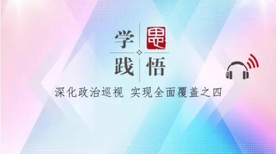 【学思践悟】（二十一）杀回马枪——深化政治巡视 实现全面覆盖之四