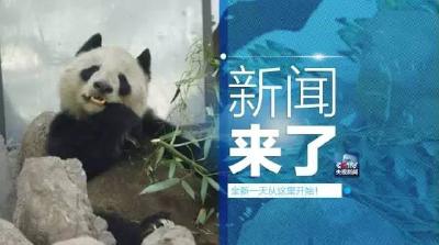 央视新闻｜新闻来了〔2017.03.17〕  
