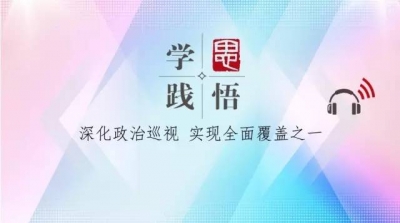 【学思践悟】（十八）：推动巡视向纵深发展 深化政治巡视、实现全面覆盖之一