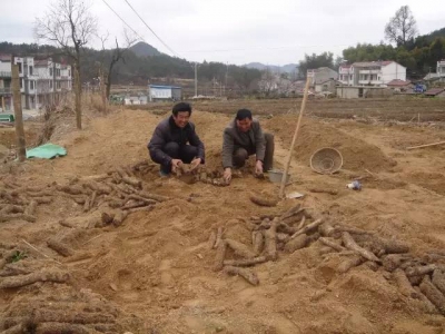 英山：打好扶贫攻坚战 建设美丽新乡村