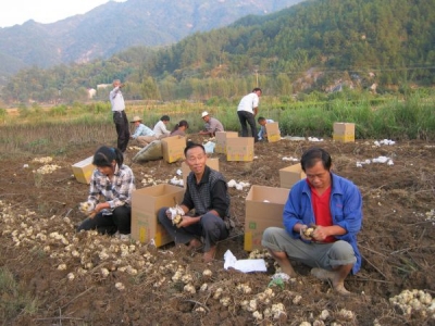 脱贫攻坚，英山大地战犹酣