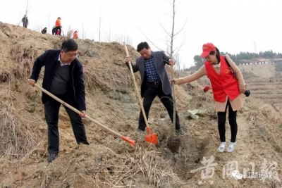 【工作动态】植树节到了！纪检干部忙什么？政治生态自然生态两手抓