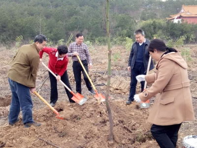 省政协机关到红安开展义务植树活动  