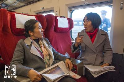全国两会 黄冈代表王金初带了什么去北京？