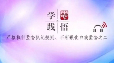 【学思践悟】（十四）：把纪委的权力关进笼子 ——严格执行监督执纪规则、不断强化自我监督之二