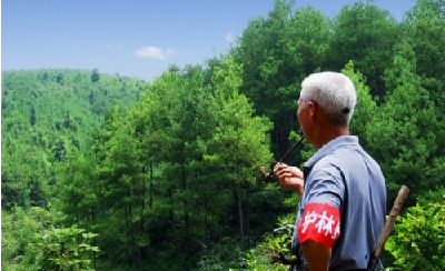 红安：570贫困户受聘担任生态护林员     