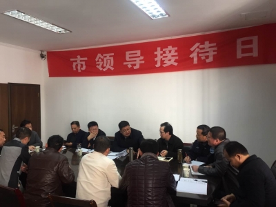 王立兵到市信访局接待群众来访